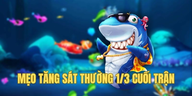 Thời gian bắn cá và thay đổi đạn chuẩn cho dân không chuyên